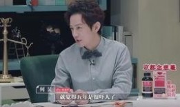 何炅爆料娱乐圈经济公司,利益纠葛与明星生存真相